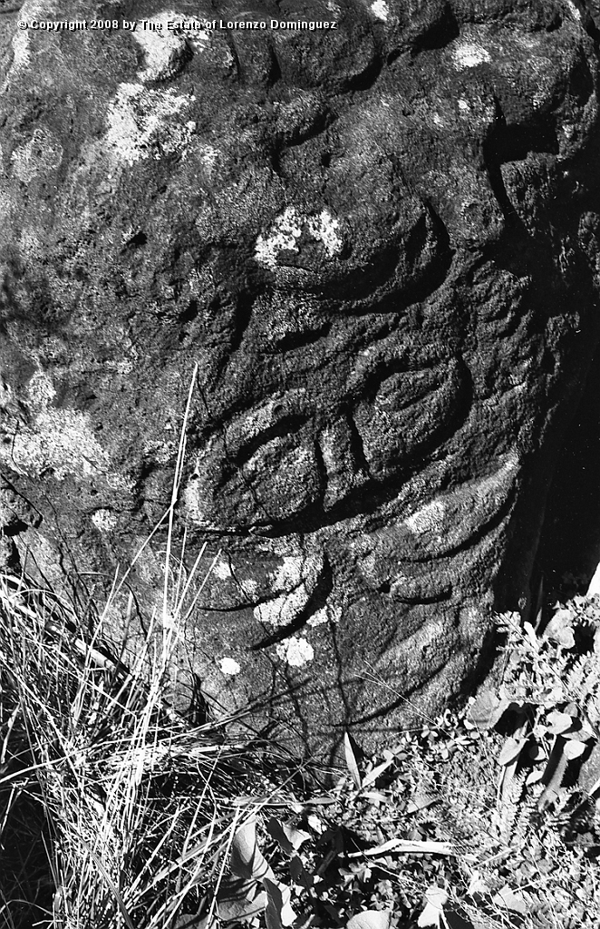 ORO_086.jpg - Easter Island. 1960. Orongo. Petroglyhs representing makemake.
