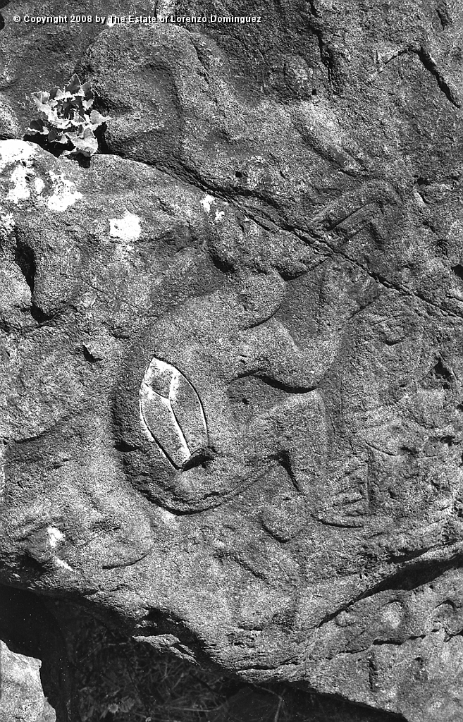 ORO_088.jpg - Easter Island. 1960. Orongo. Petroglyhs representing a birdman and komari..