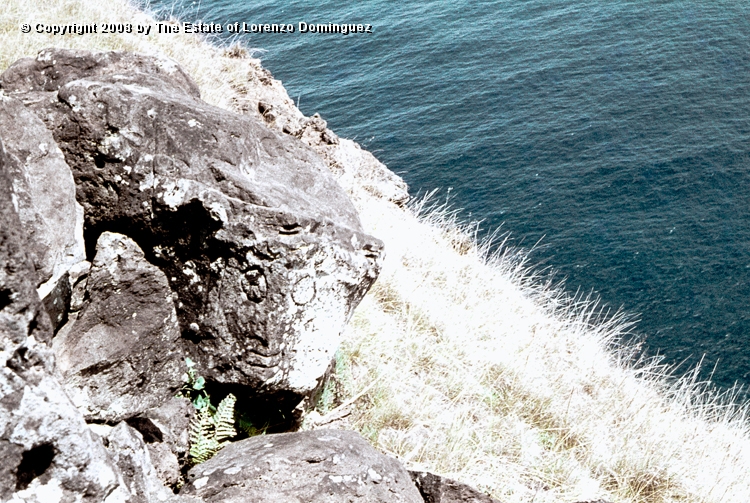 ORO_092.jpg - Easter Island. 1960. Orongo. Rock with a makemake petroglyph. Lorenzo Dominguez was stricken by the similitude between two plastic solutions: his own depiction of Death" over the surface of a black granite cube (see Lorenzo Dominguez. Catalog  P58 - 1949), and the one chosen by an anonymus Rapanui artist for this face of makemake, the "god of the big eyes," on two flat, angled planes of a rock.