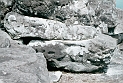 ORO_082