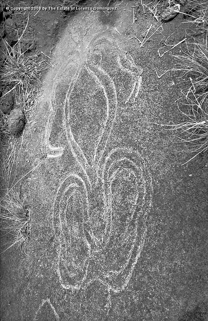 ANA_Petroglifo_01.jpg - Easter Island. 1960. La Perouse Bay. Paparona petroglyph at Te-Peka-Peka.