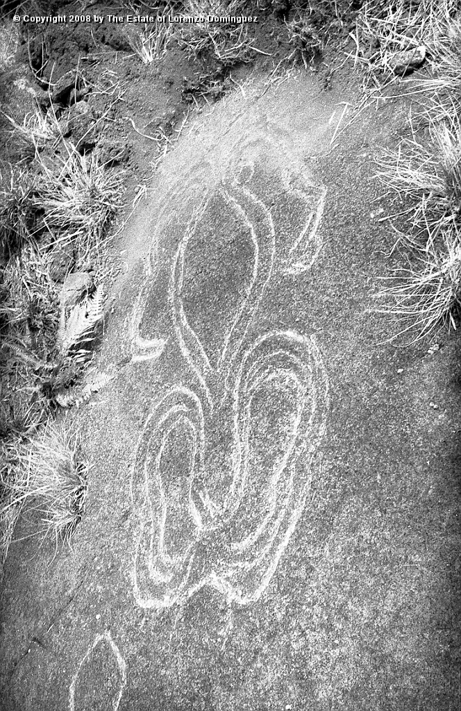 ANA_Petroglifo_02.jpg - Easter Island. 1960. La Perouse Bay. Paparona petroglyph at Te-Peka-Peka.