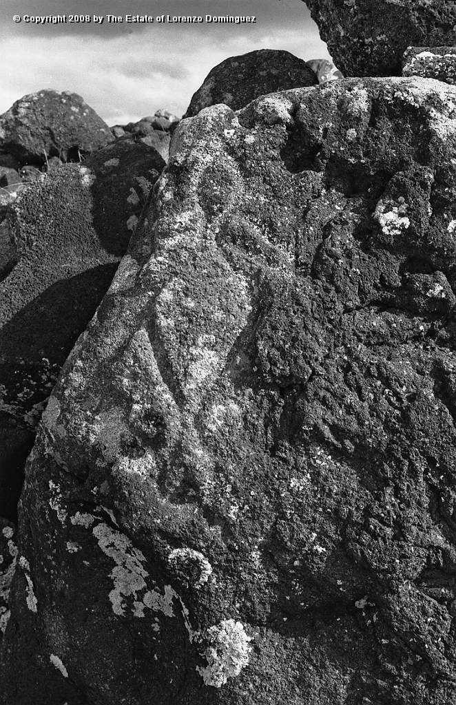 ANA_Petroglifo_03.jpg - Easter Island. 1960. La Perouse. Petroglyph representing an octopus. May also be a 'Tatan' or devil.