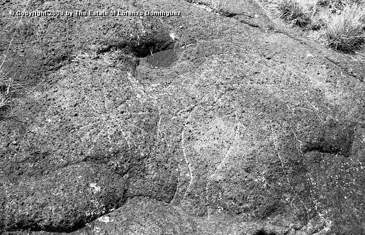 ANA_Petroglifo_04.jpg - Easter Island. 1960. La Perouse. Petroglyph Peka-Peka identified by Lorenzo Dominguez as the "Stone of the stars' fisherman." .