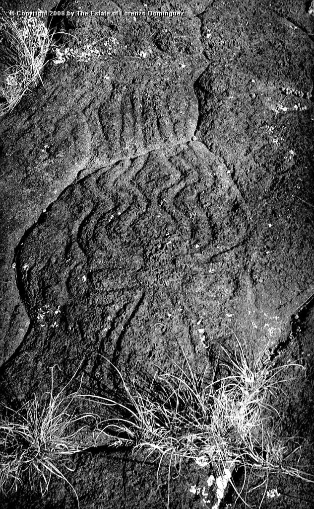 ANA_Petroglifo_06.jpg - Easter Island. 1960. Bay of La Perouse. "Paparona" petroglyph at Te-Peka-Peka.