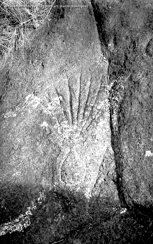 ANA_Petroglifo_07.jpg - Easter Island. 1960. Bay of La Perouse. "Paparona" petroglyph at Te-Peka-Peka representing an octopus.