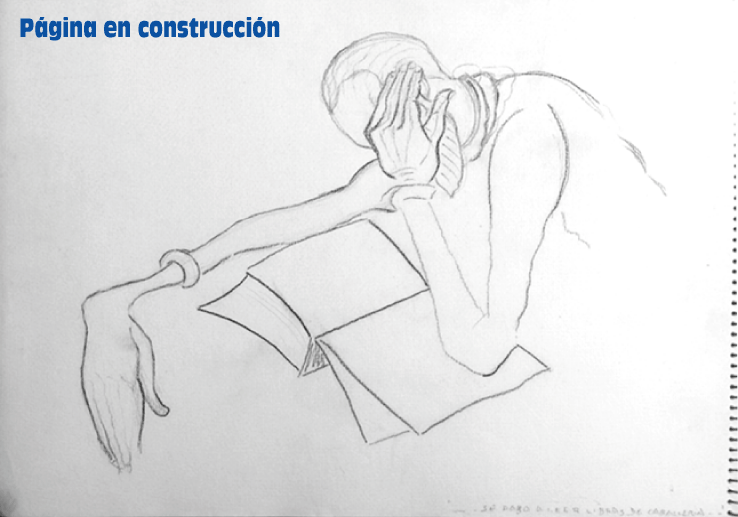 P&aacute;gina en construcci&oacute;n